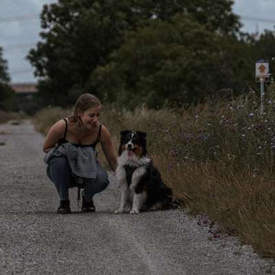 Hundetreffen-Hundetreffen