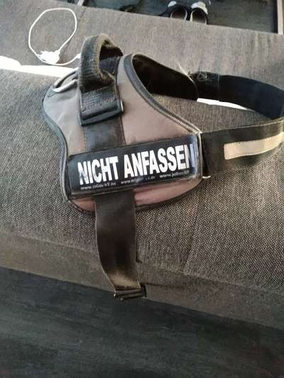 Ungewollte Streicheleinheiten etc.-Beitrag-Bild