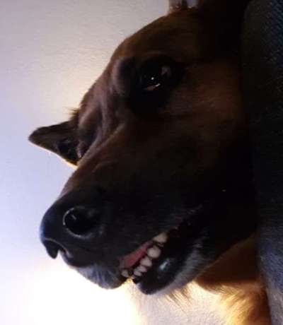 Lustige Grimassen & verrückte Posen-Beitrag-Bild