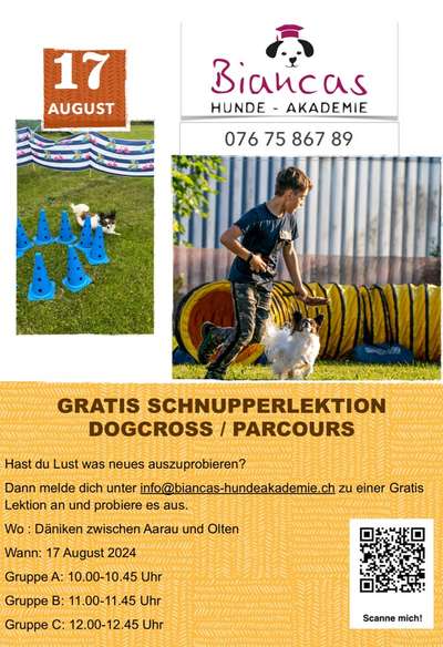 Giftköder-Schnuppertraining Dogcross-Bild