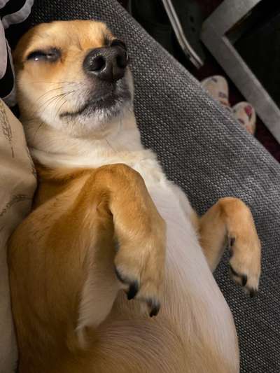 Fotochallenge No. 26                                     Wald und Wiese-Beitrag-Bild