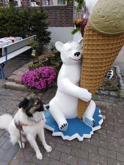 Dogorama Foto Challenge - Wanderziel-Beitrag-Bild