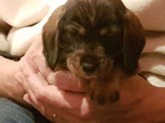 Vorher.... Nachher-Beitrag-Bild