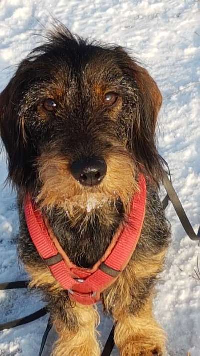 Vorher.... Nachher-Beitrag-Bild