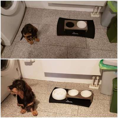 Vorher.... Nachher-Beitrag-Bild