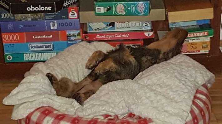 CHALLENGE NR. 34 - Liege-/Schlafpositionen-Beitrag-Bild