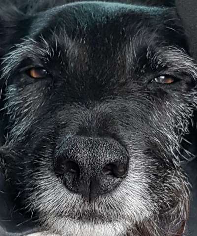 Unsere Sternchen ******-Beitrag-Bild