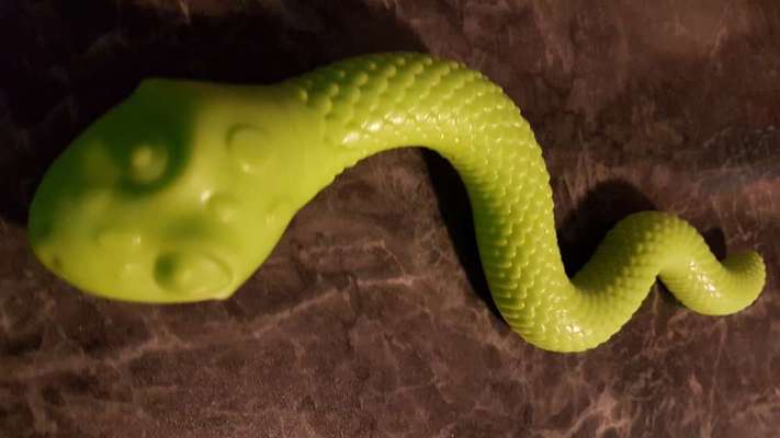 Alternative zum Kong-Beitrag-Bild