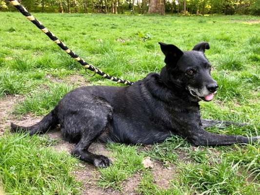 Bardino-Beitrag-Bild