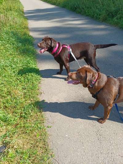 Fotochallange Nr. 46

Schattenspiele BEENDET!!!!!-Beitrag-Bild