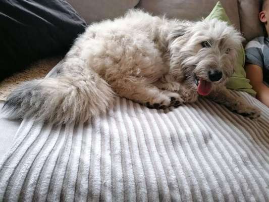 Gibts hier Mioritic Besitzer?-Beitrag-Bild