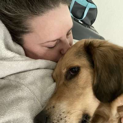 Hundetreffen-Spielen oder Gassi-Profilbild
