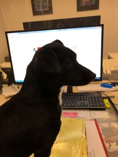 Zeigt her...-Beitrag-Bild