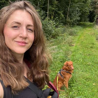 Hundetreffen-Gemeinsamer Spaziergang-Bild