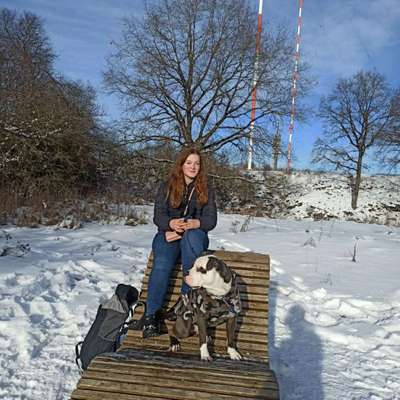 Hundetreffen-Treffen größerer Hunde