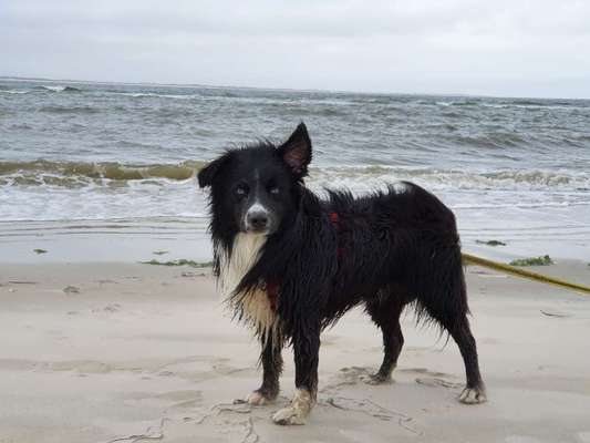 35. Handy Foto Challenge - Das nasse Element-Beitrag-Bild