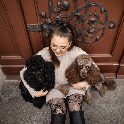 Tierfotografen-Pudelwohl Photography / Cora Callmeier-Bild