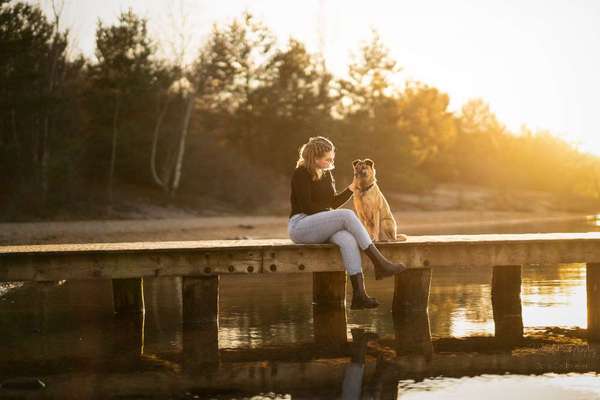 Giftköder-Shooting-Paket Large-Bild