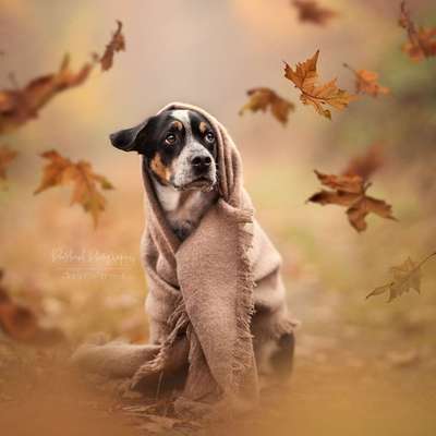 %{de_profession_title}-Golden Moments-Bild