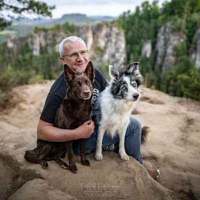 %{de_profession_title}-Eternal Paw Experience-Bild