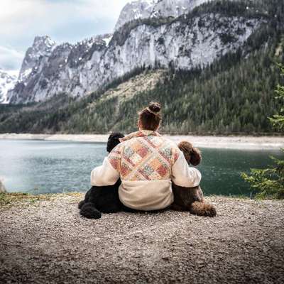 Tierfotografen-Pudelwohl Photography / Cora Callmeier-Bild