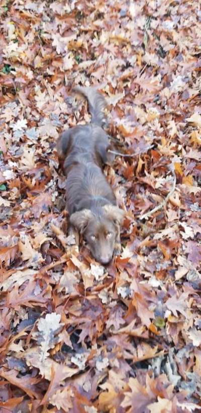 Foto Challenge Nr. 79-Beitrag-Bild