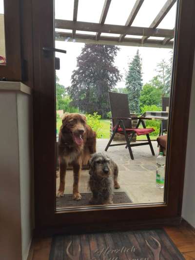 Dogorama Photo Challenge - Gegensätze-Beitrag-Bild