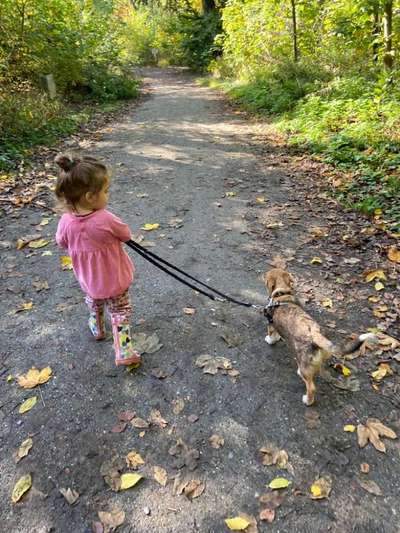 Hundetreffen-Welpentreffen in der Osnabrücker Wüste ♡-Bild