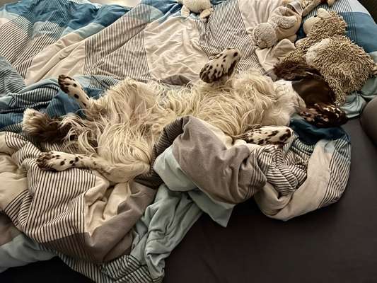 Fotochallenge Nr.65-Beitrag-Bild