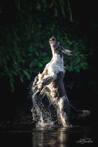 Fotochallenge Nr. 52 „Spring!“-Beitrag-Bild