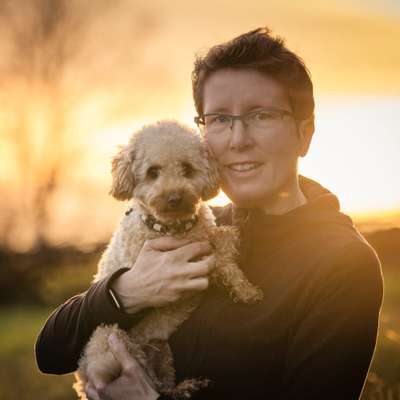 Hundetreffen-Treffen mit Zwergpudel-Profilbild