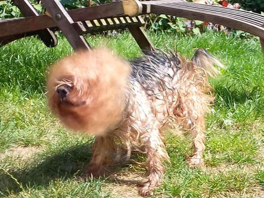 Un...scharf Bilder-Beitrag-Bild