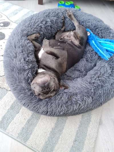 Die unbequemsten und lustigsten Schlafpositionen-Beitrag-Bild