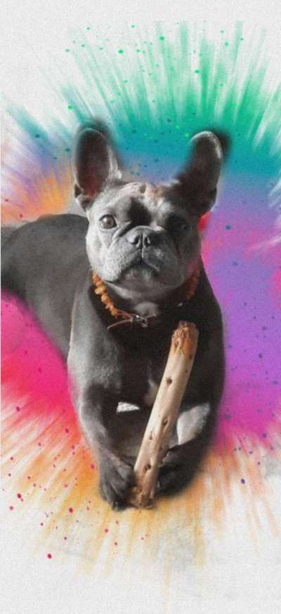 Eure schönsen-Beitrag-Bild