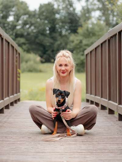 Hundetreffen-Hundebegegnung, Gassi gehen und Spielen-Bild