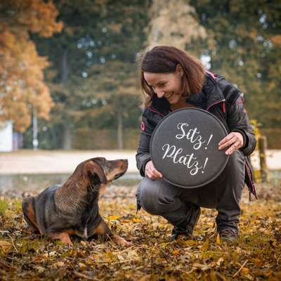 Giftköder-Begleitung Tierschutzhund-Bild