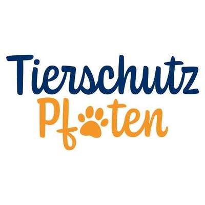 Hundeschulen-Tierschutzpfoten-Bild