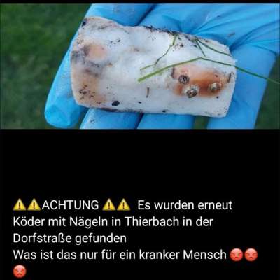 Giftköder-Giftköder mit Nägeln-Bild