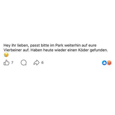 Giftköder-Giftköder im Park-Bild