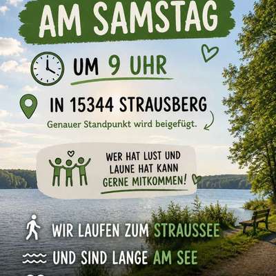 Hundetreffen-Wasserspaß-Bild