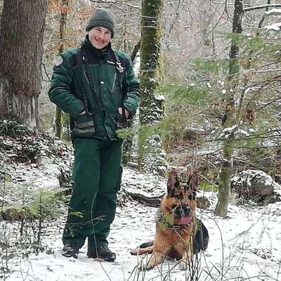 Hundetreffen-Gassi gehen-Profilbild