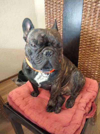 Foto-Challange No.1 - Alles aber nicht die Kamera-Beitrag-Bild