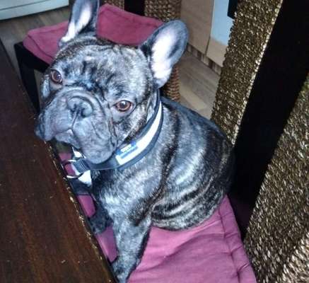 Lieblingsbild-Beitrag-Bild