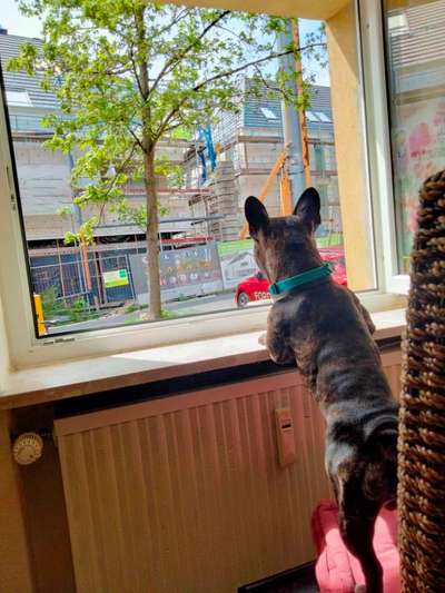 Foto Challange Nr.80-Beitrag-Bild