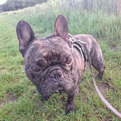 Was hat euch heute gefreut?-Beitrag-Bild