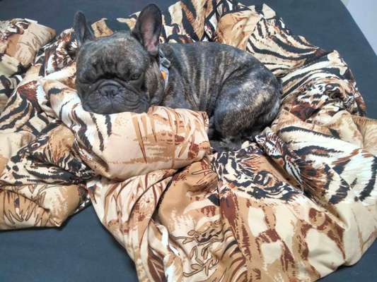 Handyfoto challenge Nr.7-Beitrag-Bild