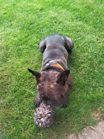 Fotowettbewerb Natur-Beitrag-Bild