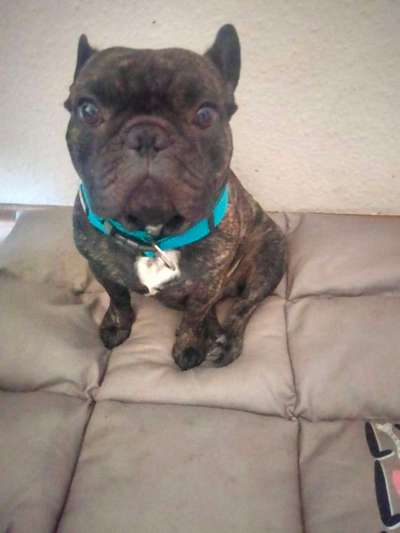 Handy-foto Challange nr. 11-Beitrag-Bild