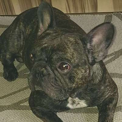 Buddy&Babs's Profilbild