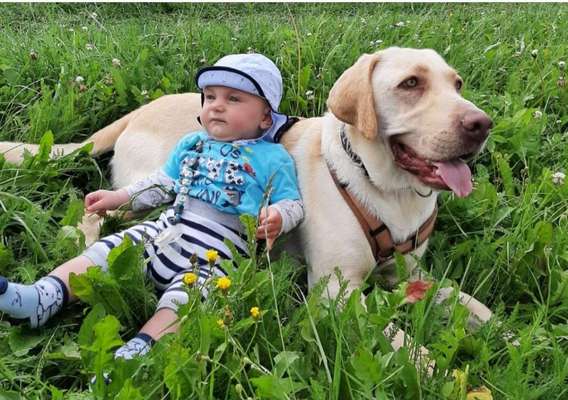 FOTOCHALLENGE 68: Dein Hund und sein bester Freund-Beitrag-Bild